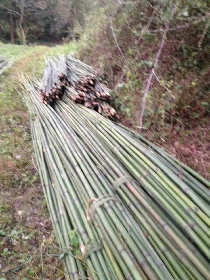 货源地直供，大量定做加工供应竹竿各类规格品种，羊肚菌专用