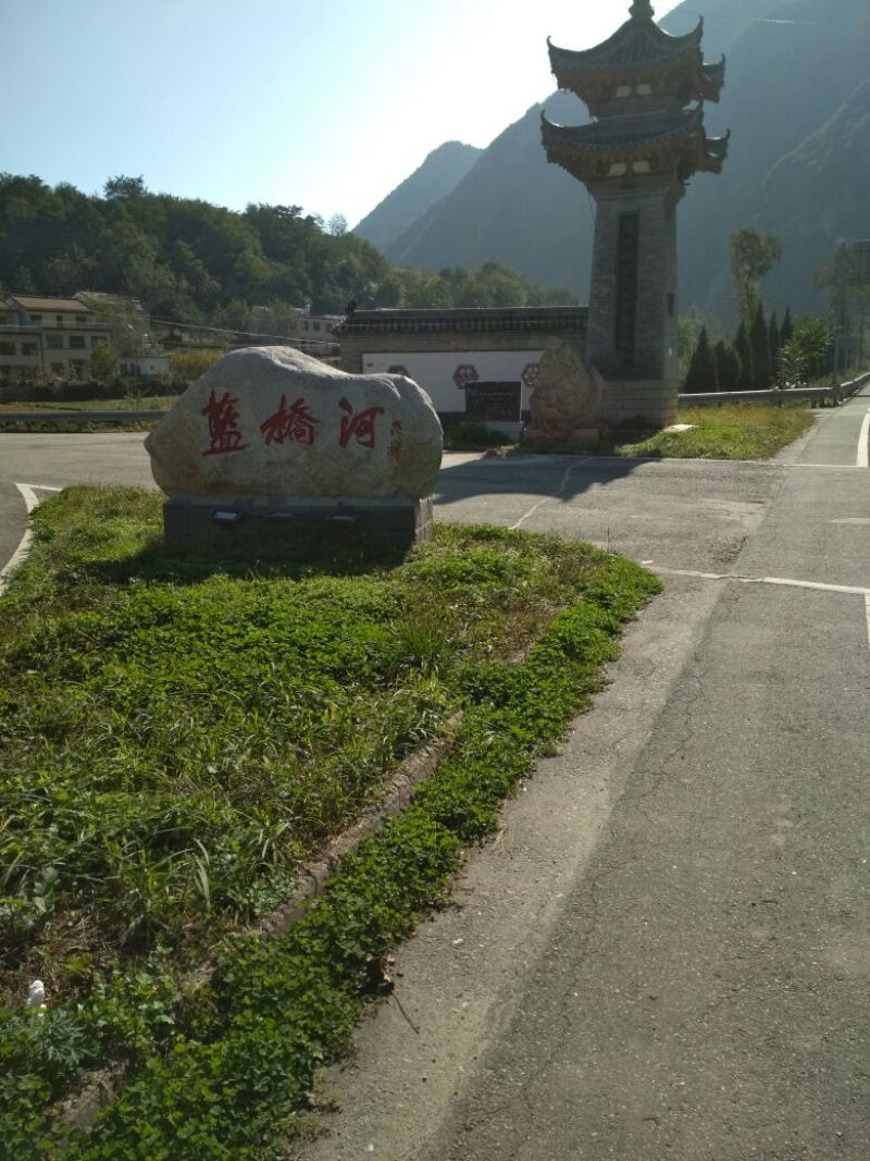 柿饼1两以下