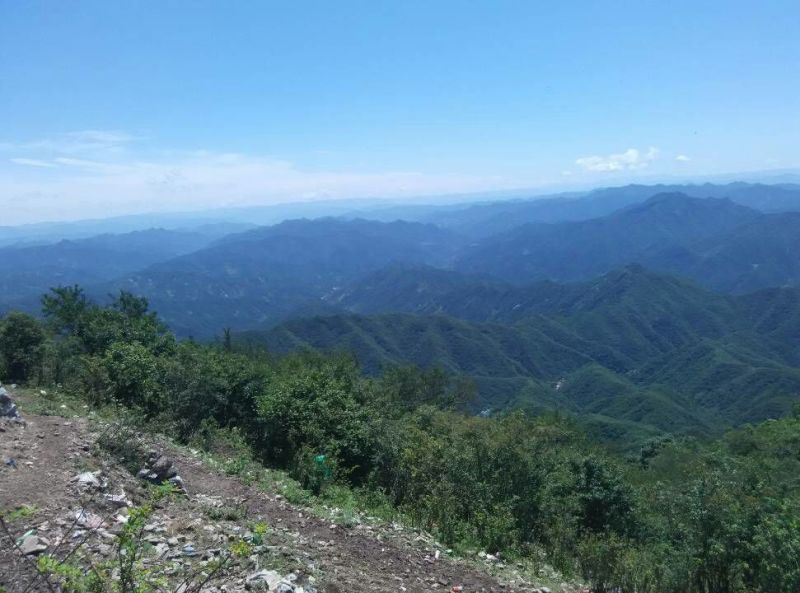 柿饼1两以下