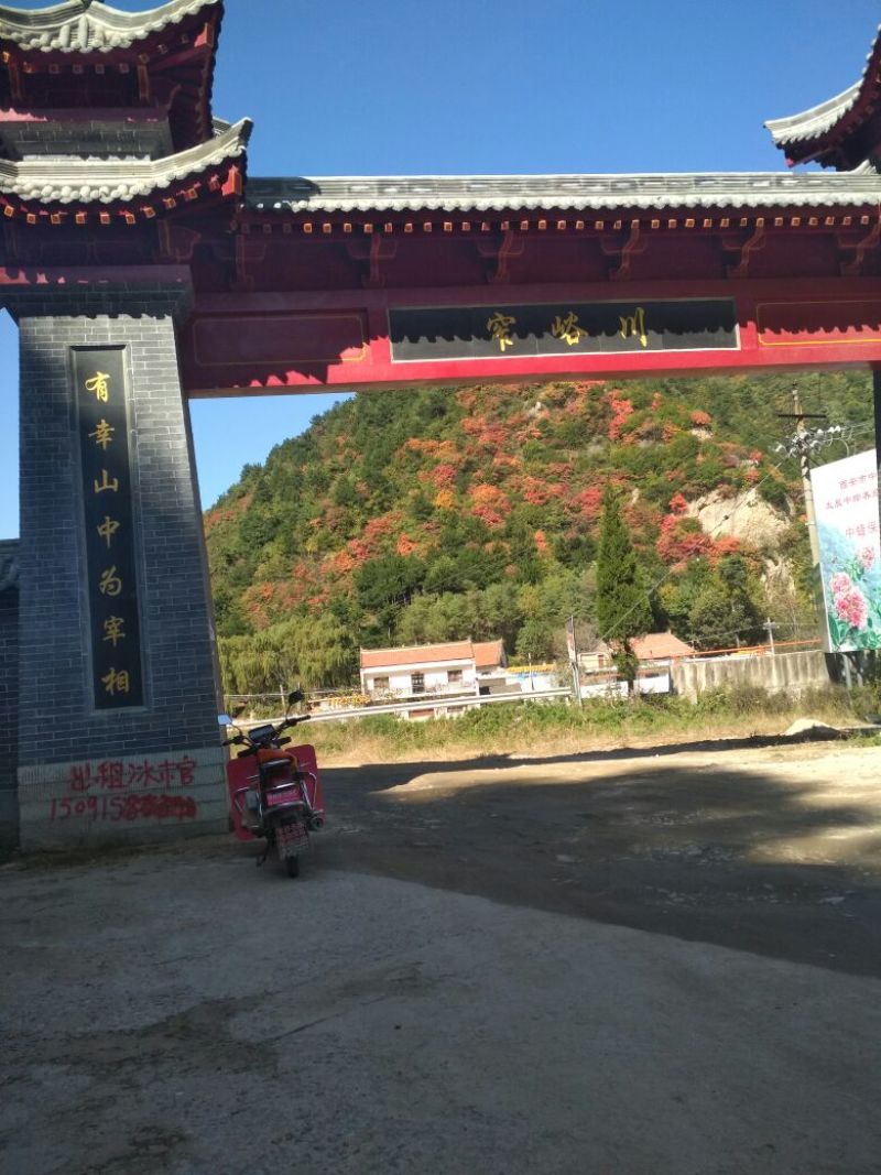 柿饼1两以下