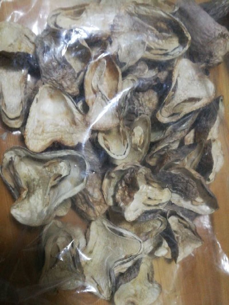 草菇3cm以上