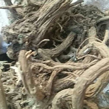 续断纯野生含量高无硫