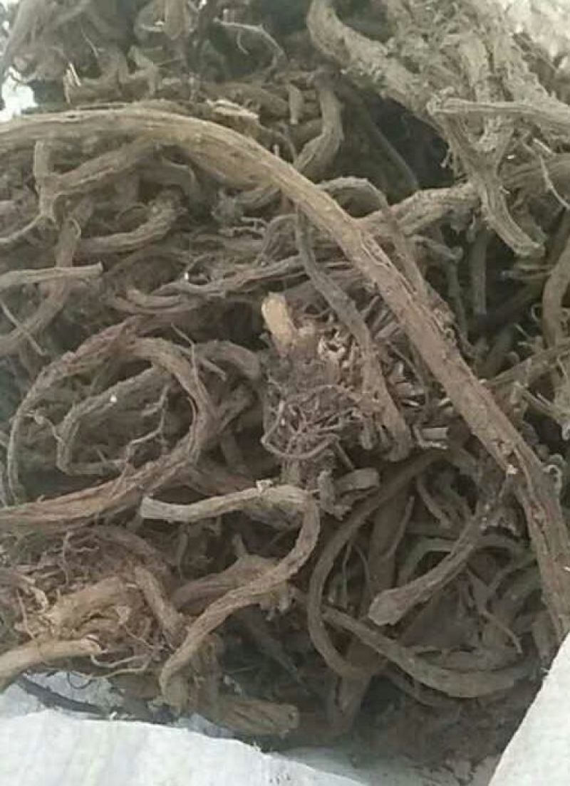 续断纯野生含量高无硫