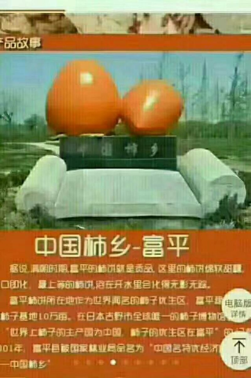 柿饼1~2两