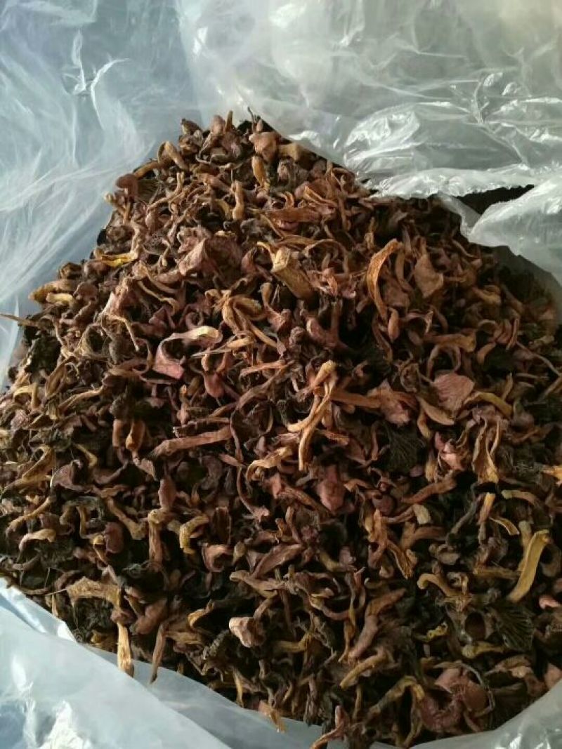 红蘑菇红蘑菇，肉蘑，肉蘑干