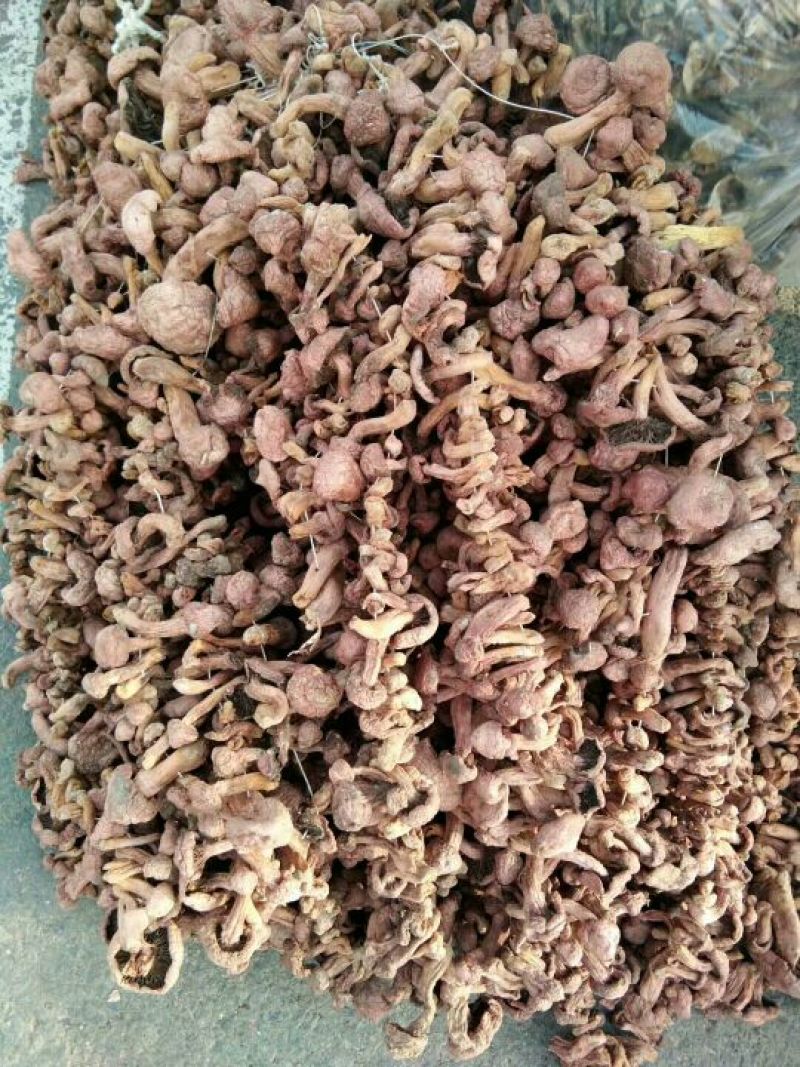 红蘑菇红蘑菇，肉蘑，肉蘑干