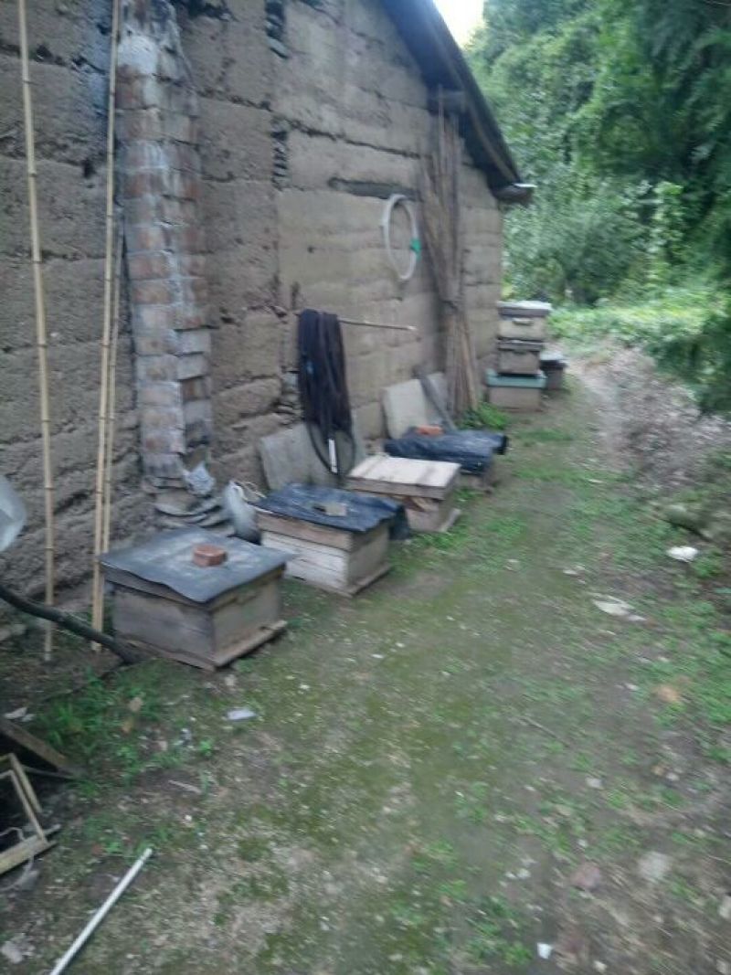 蜂蜜，正宗秦岭山土蜂蜜