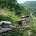 蜂蜜，正宗秦岭山土蜂蜜