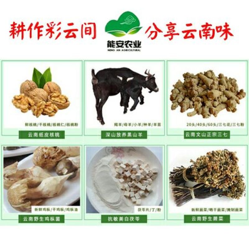云南彝族黑山羊40~60斤/头，公母羊