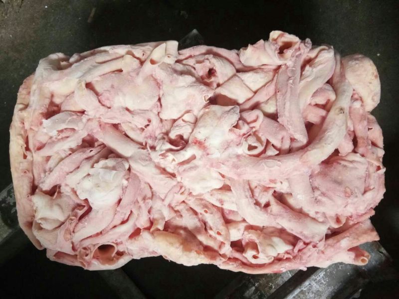 猪心管
