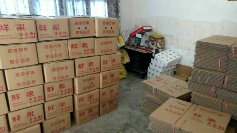 自家种植高塬，红富士苹果75以上膜袋，薄皮脆甜