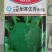 西兰花种子耐寒优秀