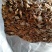 【广昌3号】茶树菇开伞无包心干货产地直销供货量充足
