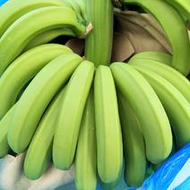 云南香蕉河口香蕉产地直供价格开始大量上市