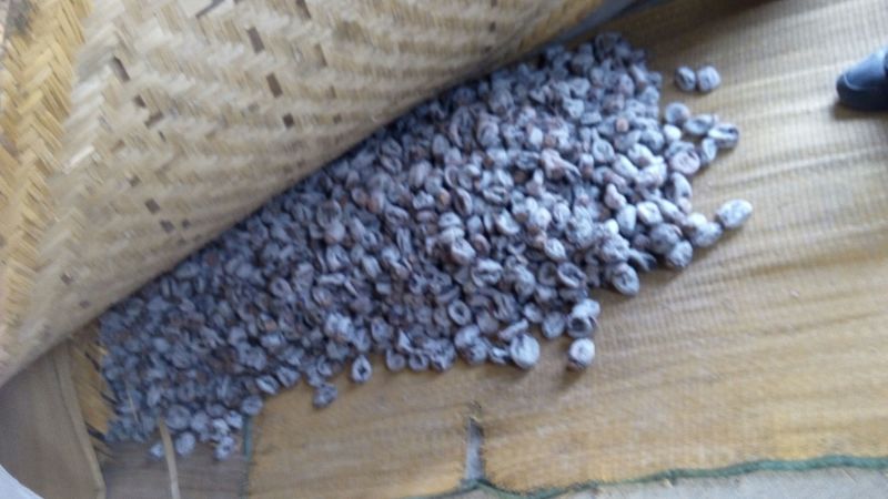 柿饼1~2两