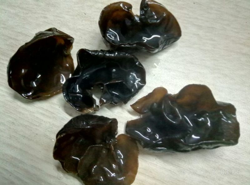 木耳一级