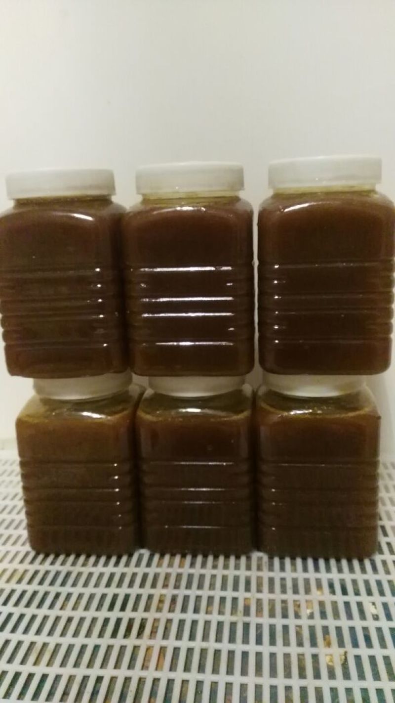 土蜂蜜正宗土蜂蜜