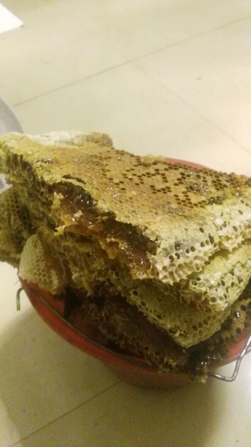 土蜂蜜正宗土蜂蜜