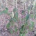 土蜂蜜正宗土蜂蜜