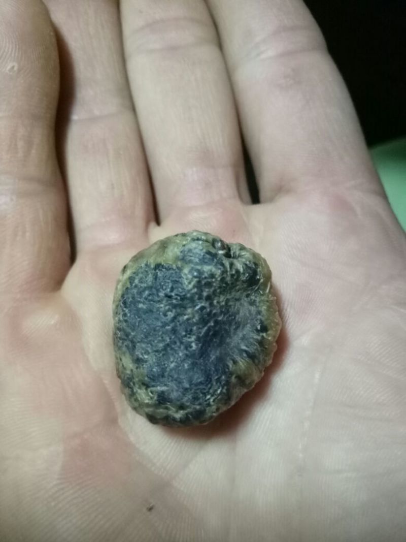 鸭宝共计10克多，干货