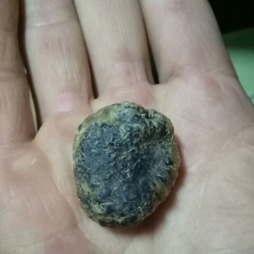 鸭宝共计10克多，干货