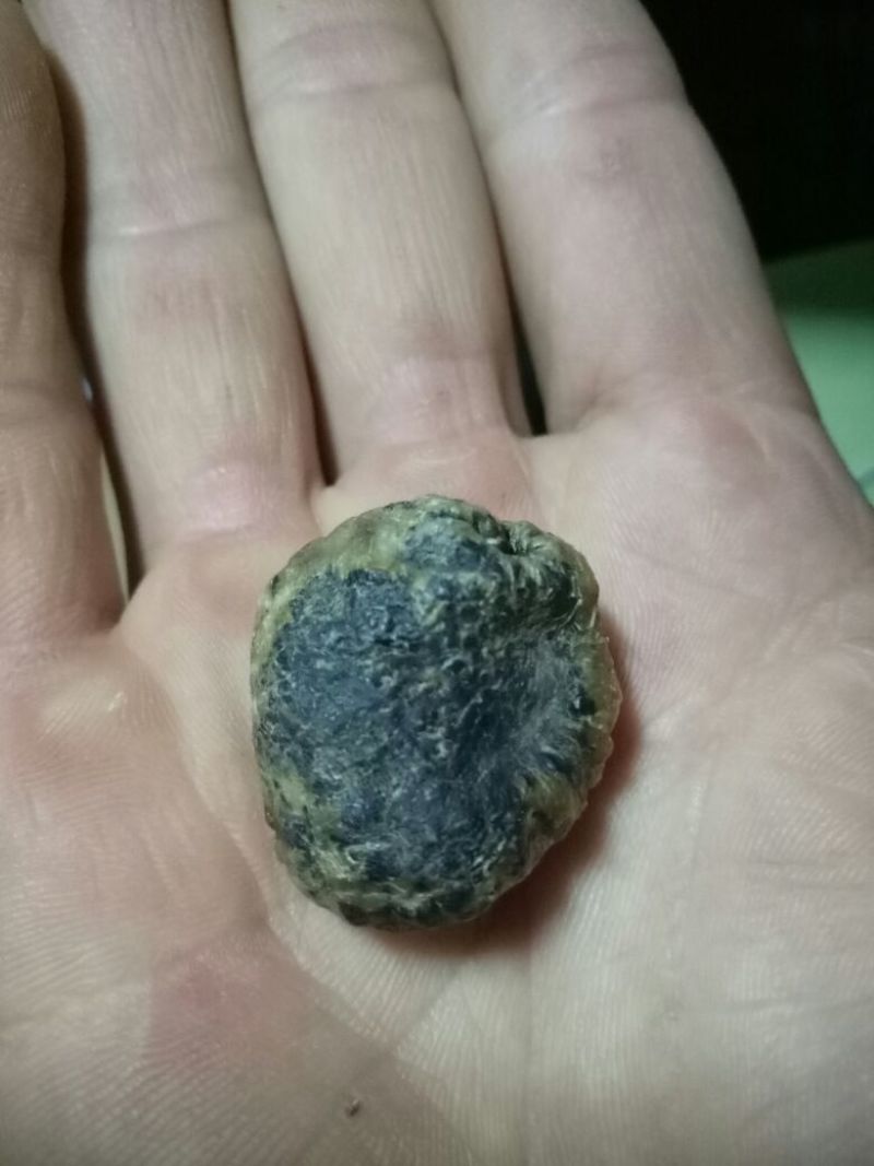鸭宝共计10克多，干货