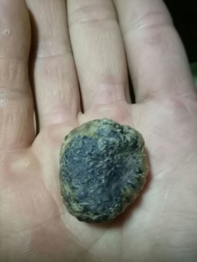 鸭宝共计10克多，干货