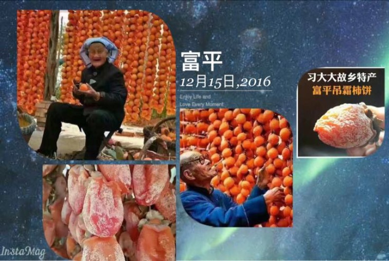 柿饼1~2两