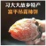 柿饼1~2两