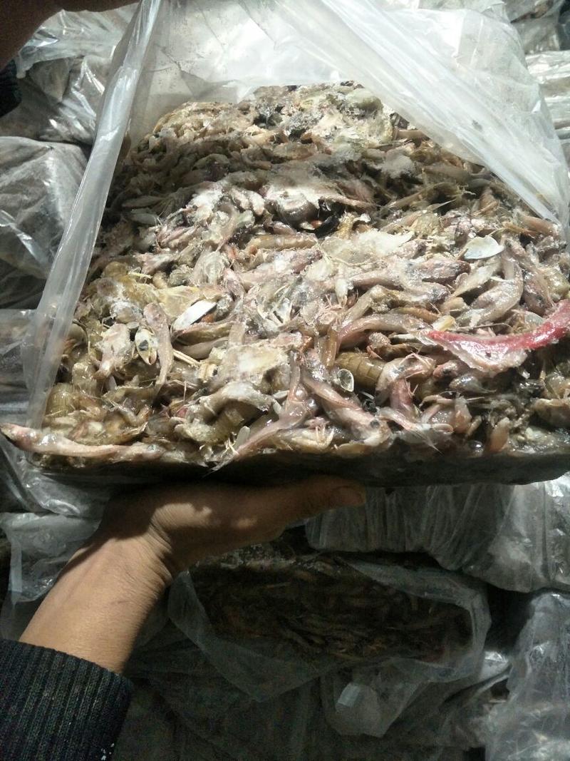 饲料鱼长年大量供货，各种质量纯鱼，杂鱼都有