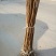 阳丰甜柿子树苗100~150cm