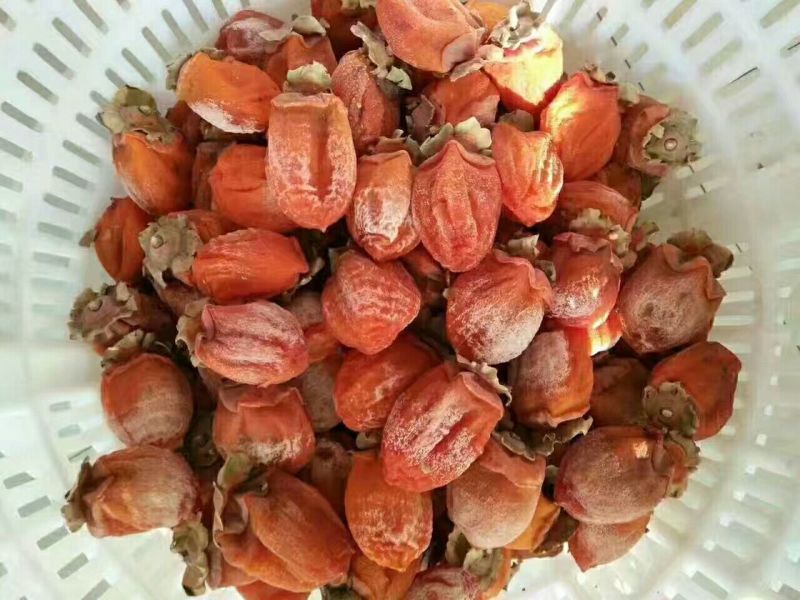 柿饼1~2两