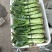大白菜4~6斤净菜