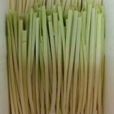 蒲菜