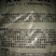 毛豆种子