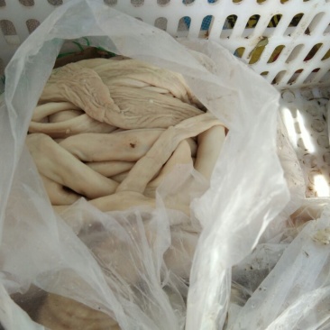 羊肠散装
