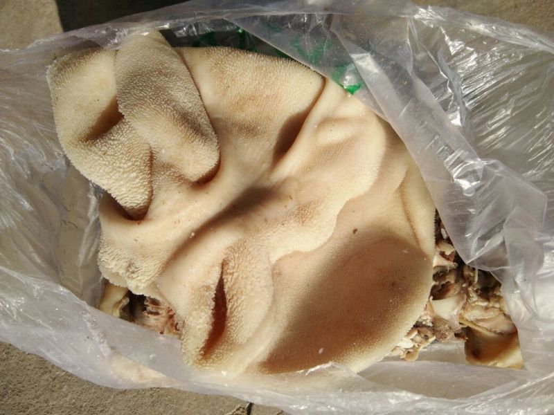 羊净肚散装