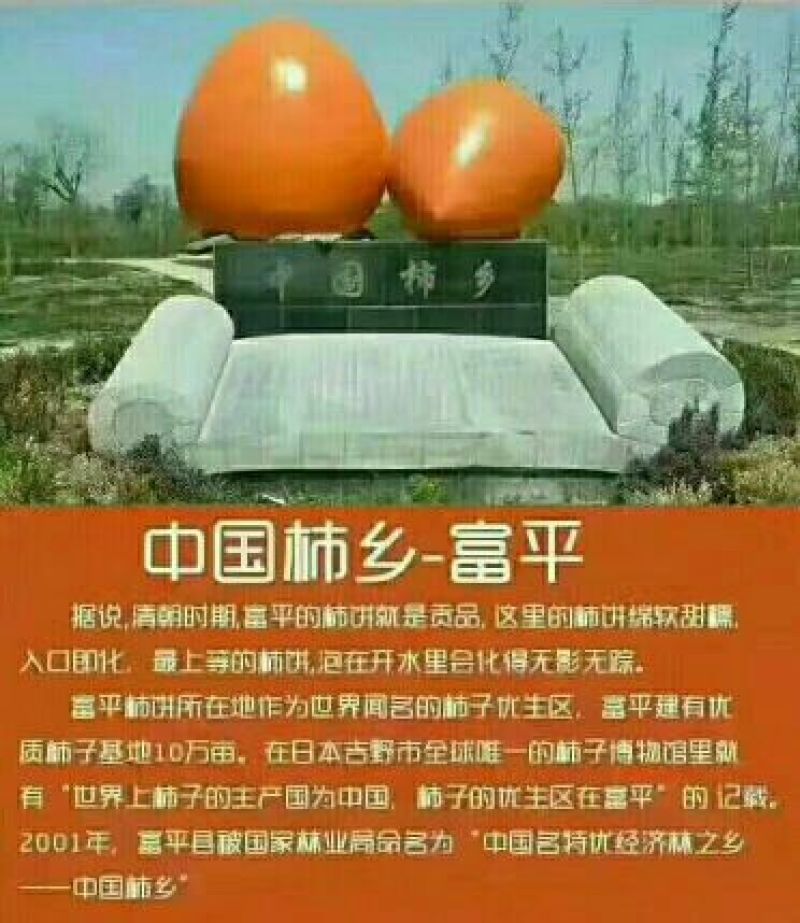 柿饼2~2.5两