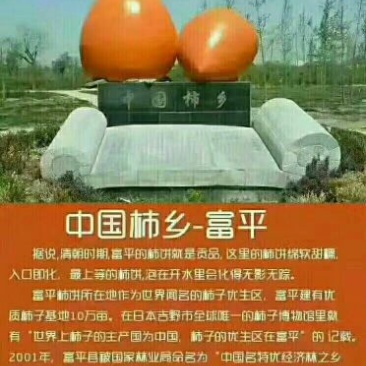 柿饼2~2.5两