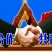 柿饼2~2.5两