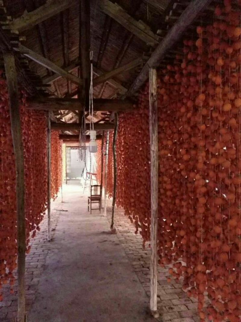 柿饼1~2两