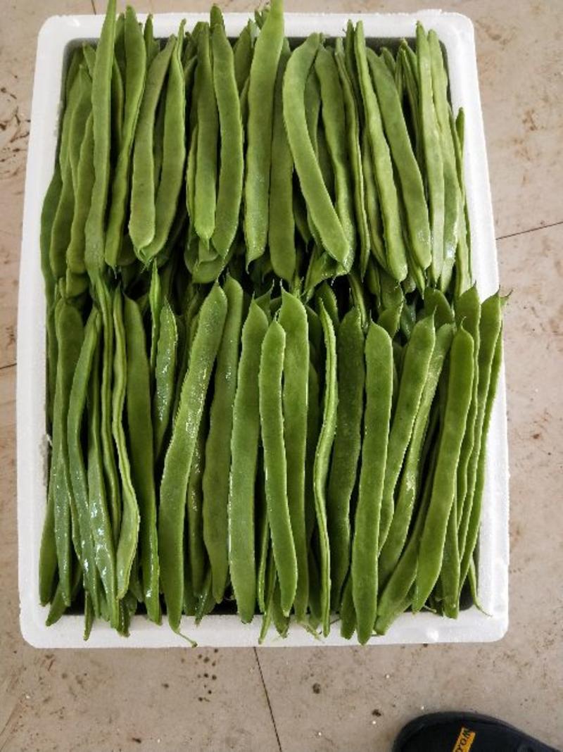 绿扁豆20厘米以上2厘米以上