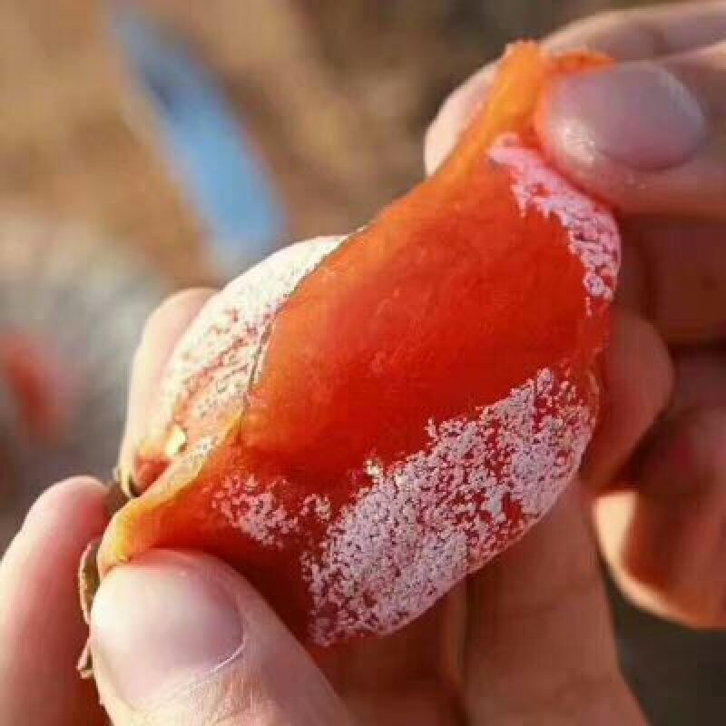 柿饼1~2两