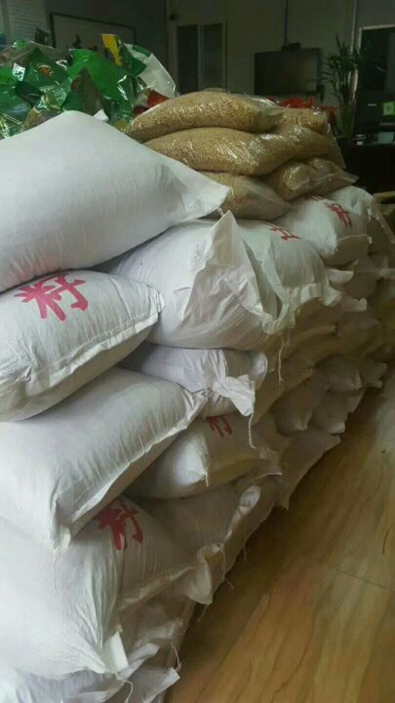 松子特级