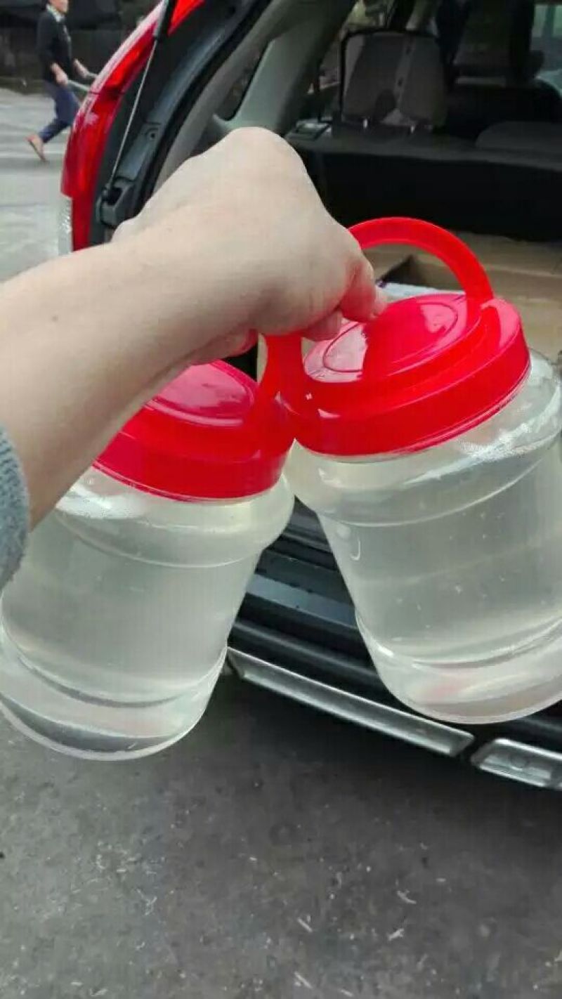 椰子油散装椰子油