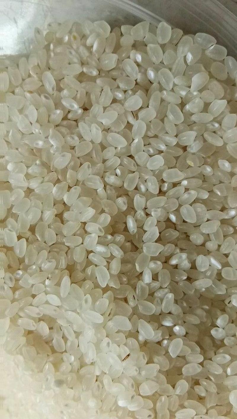大米【珍珠米】新米，长粒和圆粒，无抛光