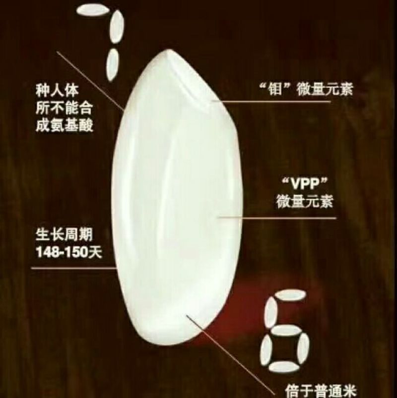 大米【珍珠米】新米，长粒和圆粒，无抛光