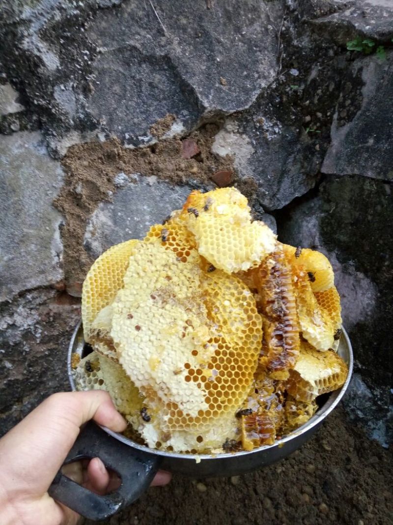 蜂蜜2斤
