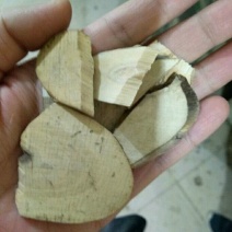 接骨木各种中药材批发质量保证