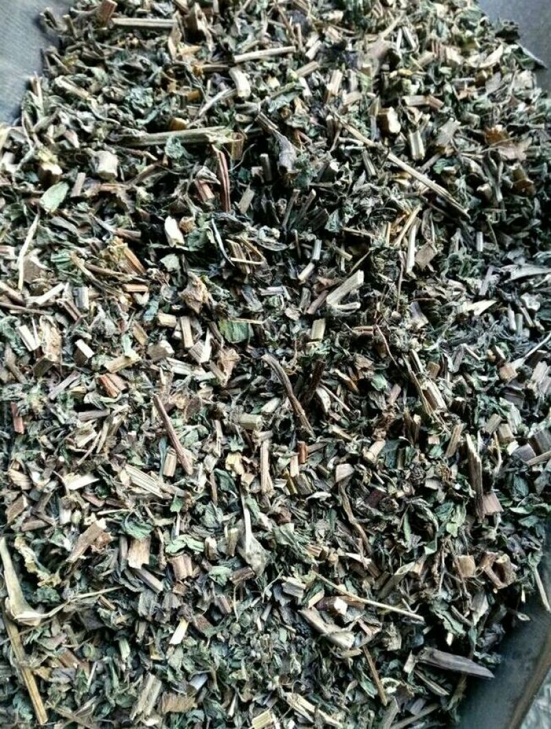 旱莲草墨旱莲各种中药材批发质量保证草药干净批发